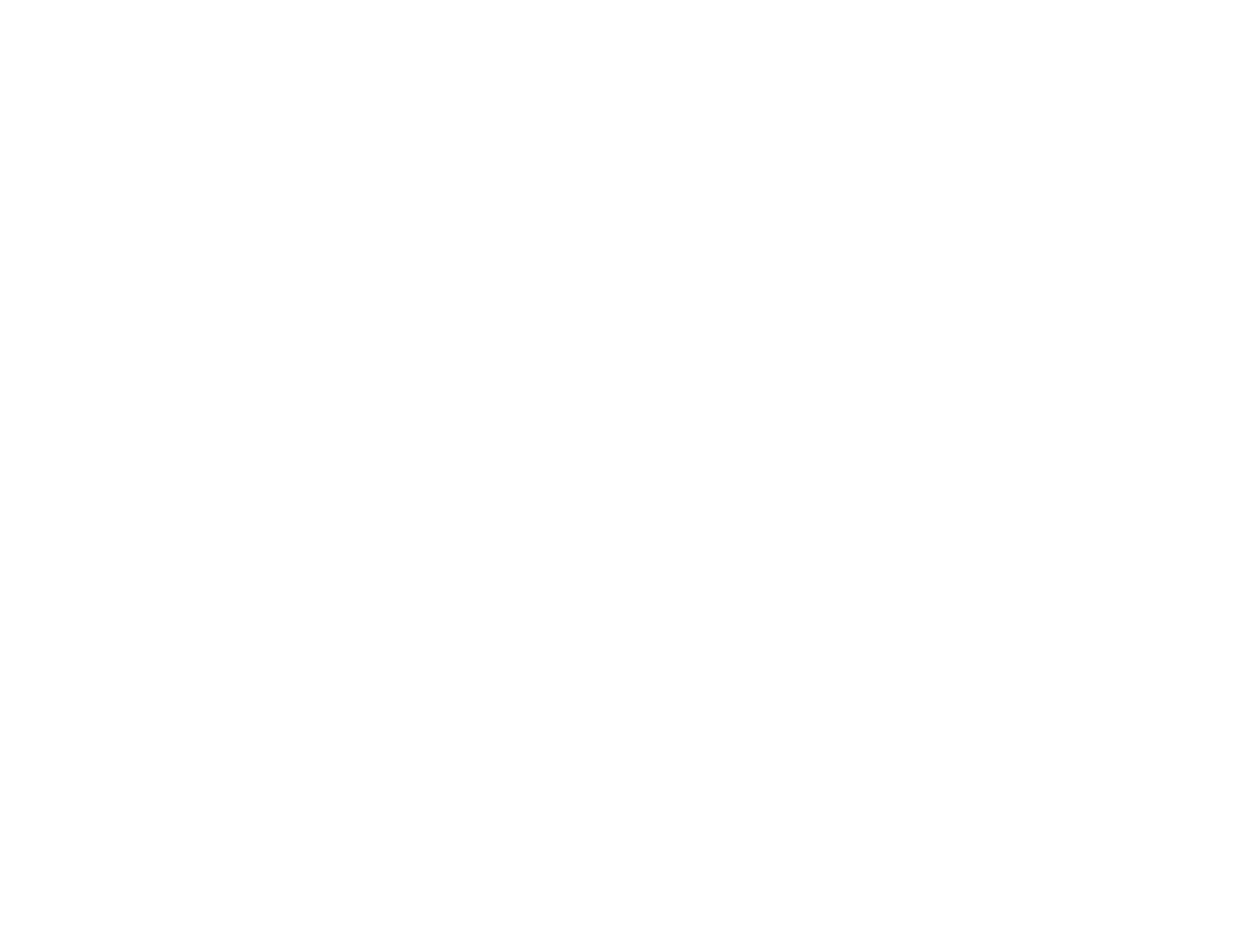 NSP_Logo_Secondary logo_MONO_CMYK-11